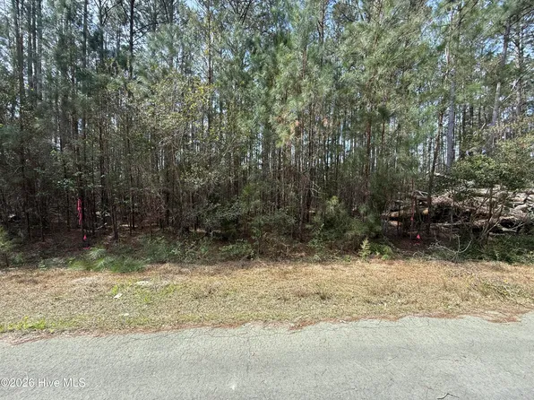 (undisclosed Address), Oriental, NC 28571