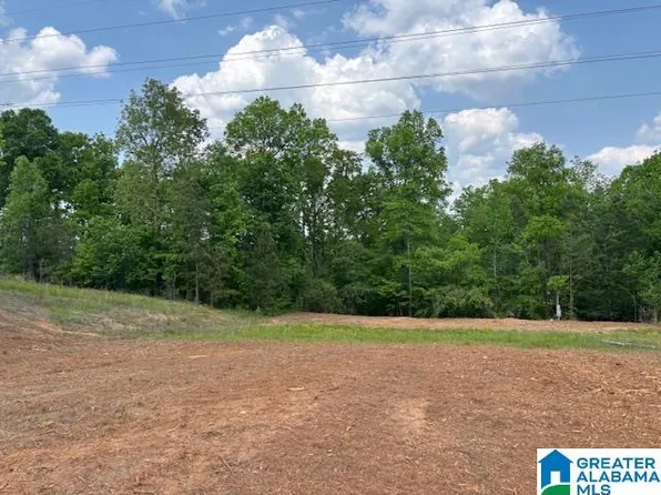 289 Circle Dr #51, Roanoke, AL 36274