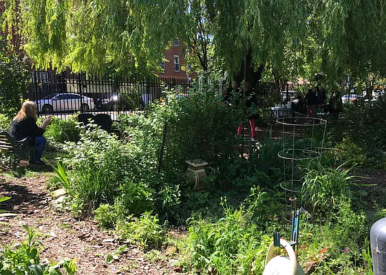 Rented by BLS Realty | media 40