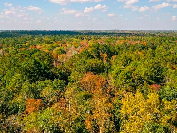 4th image of 0 Twin Forks Road Martin Rd Tract 2