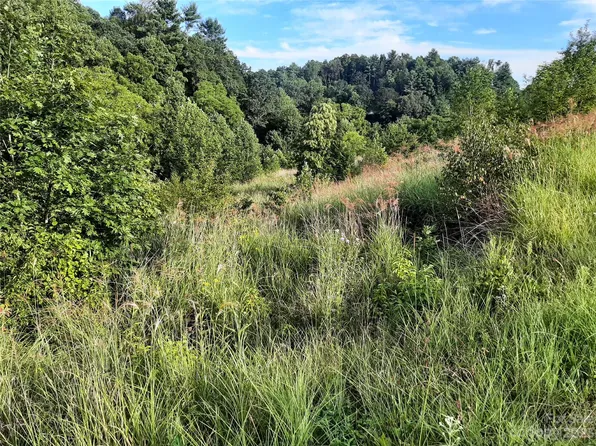 Kelly Hunter Rd, Marshall, NC 28753