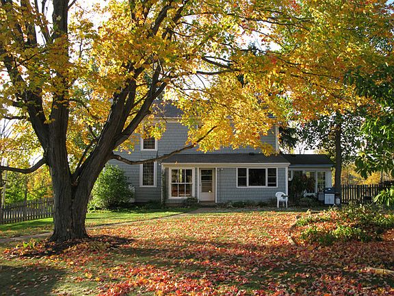 large fenced backyard