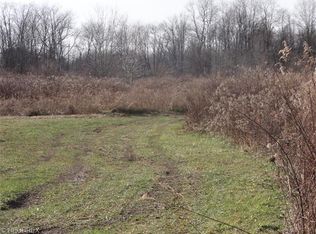 7372 Smalley Rd, Windham, OH 44288