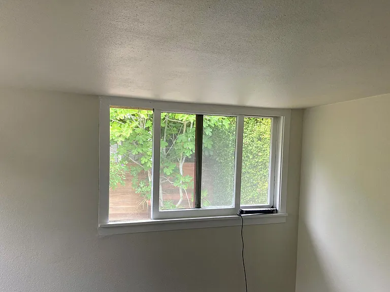downstairs back bedroom
