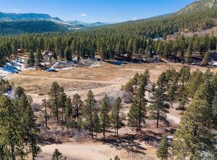 1101 W Los Ranchitos Dr, Durango, CO 81301