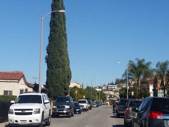 5th image of 4156 Mandalay Dr