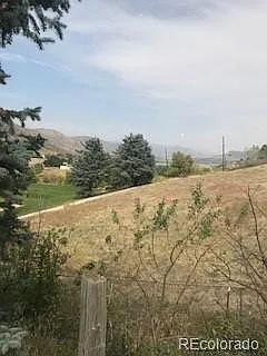 322 Berthoud Way — Photo 30