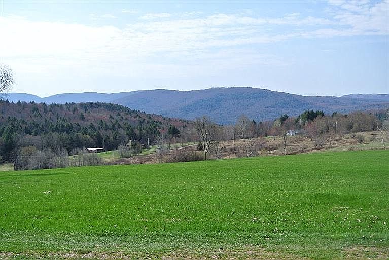 View of adjoined parcel