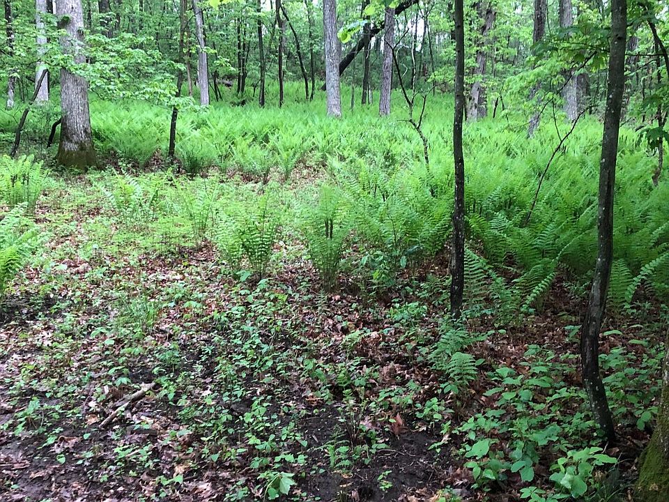 12216 Arcola Trl N, Stillwater, MN 55082 Zillow