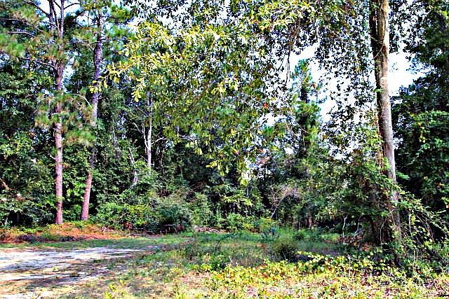 1st image of 1925 Tobacco Rd