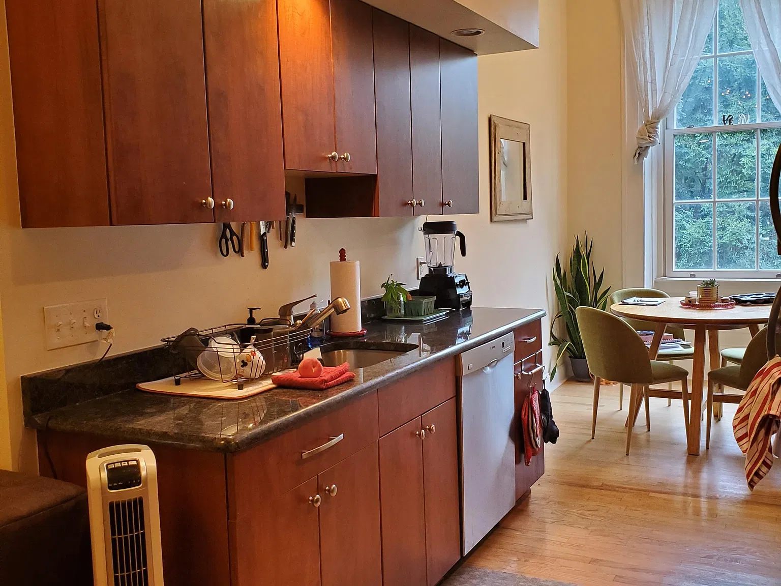 1 bed, $2,005 — Photo 2