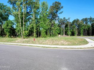 1743 Herons View Dr LOT 20, Wilmington, NC 28401