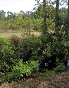 405 County Road 125, Bunnell, FL, 32110