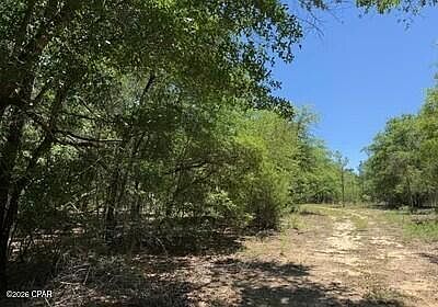 5th image of Orange Hill Rd