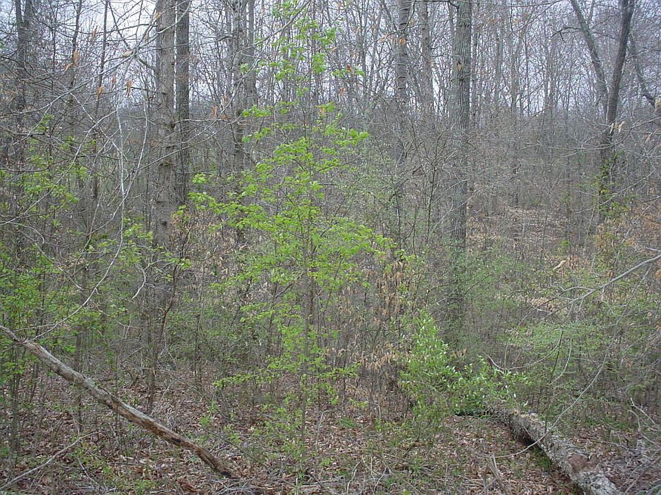 1st image of 304 King Ln