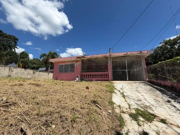 Carretera 184 Km 31.1 Barrio Cacao Alto, Patillas, PR 00723
