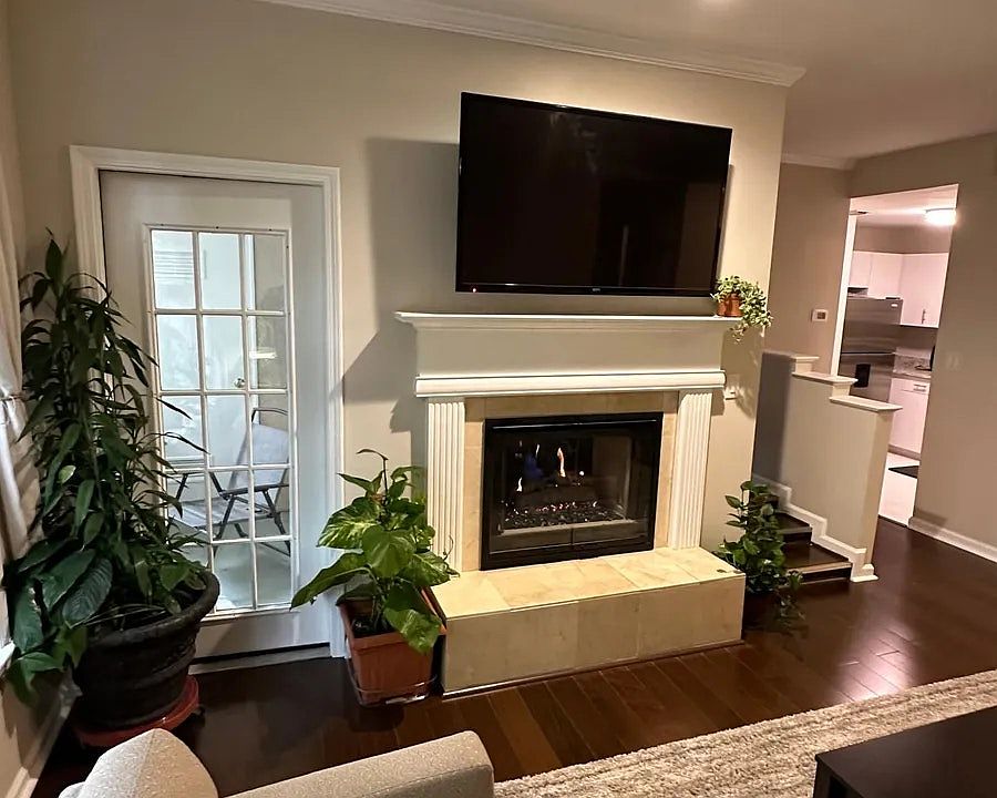 TV mount comes with the property!