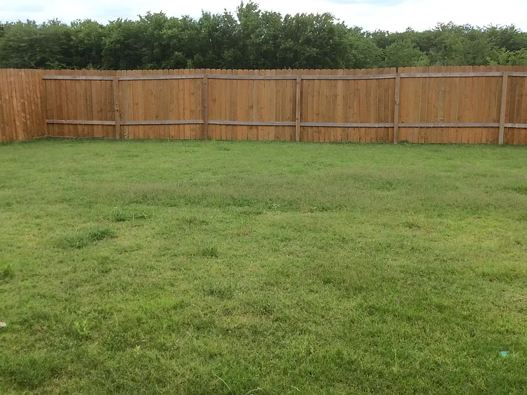 4319 Cat Tail Way — Photo 13