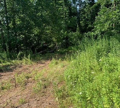 2nd image of 295 Skyline Dr
