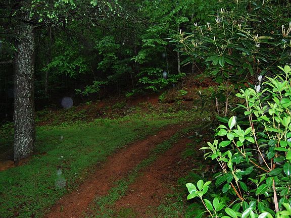 ATV trails