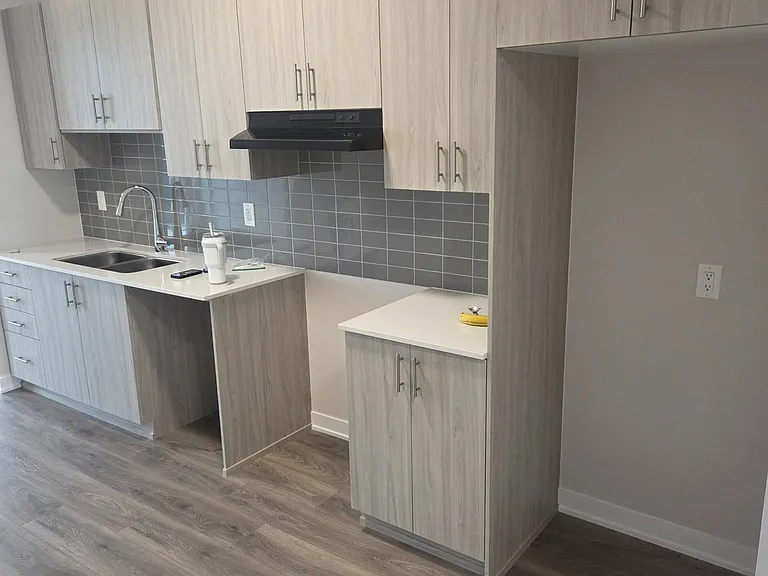 229 Lamarche Ave — Photo 4