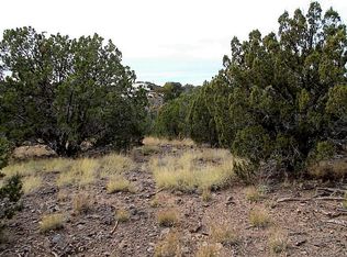 8493 Cannon Blvd LOT 36, Show Low, AZ 85901