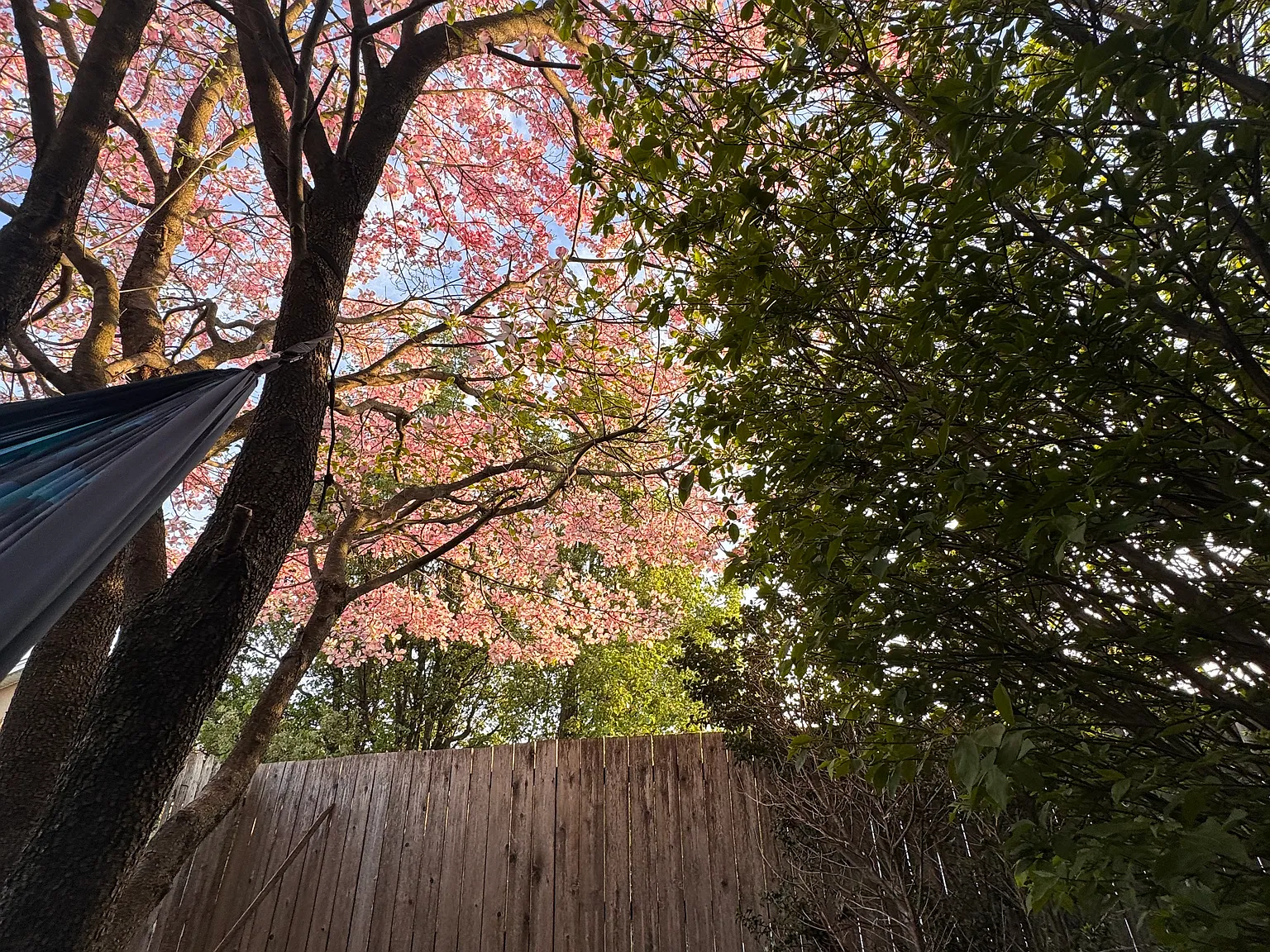 4652 Mansion St — Photo 3
