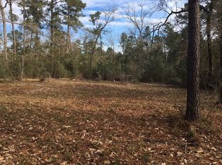 31060 Walnut Ridge Dr, Waller, TX 77484