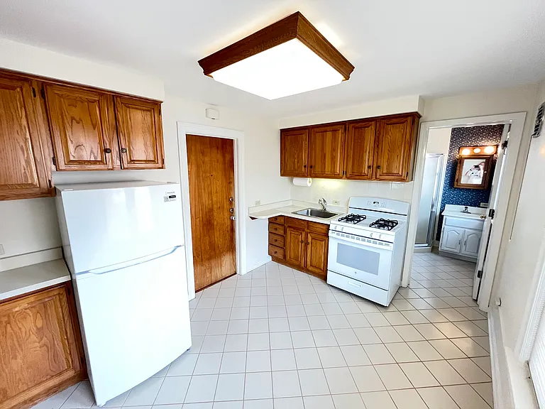 1310 Wilmette Ave #2E — Photo 6