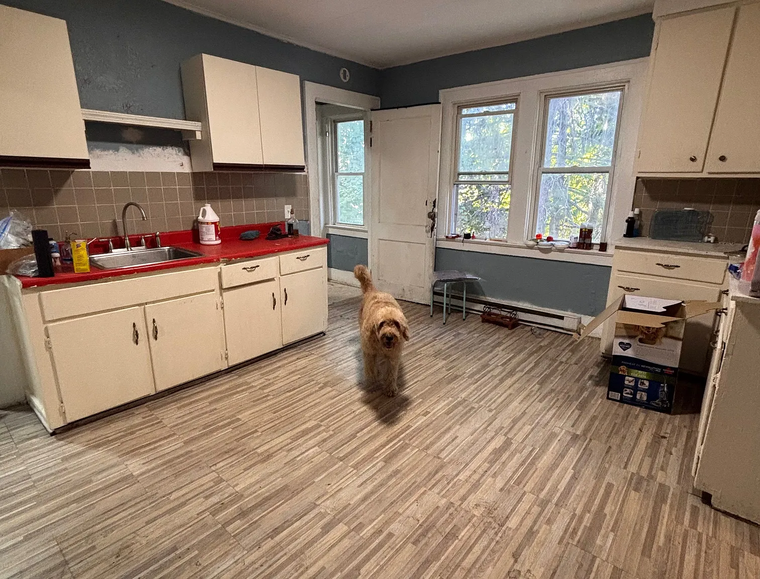 2 bed, 900 sqft, $950 — Photo 3