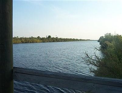 River View