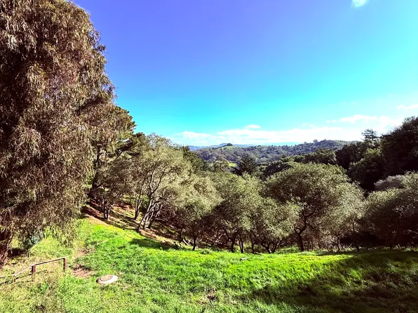 422 Durant Way #B, Mill Valley, CA 94941