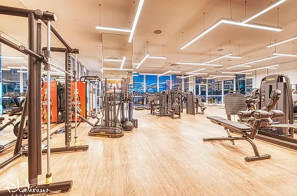 Rented by Platinum Properties | media 28