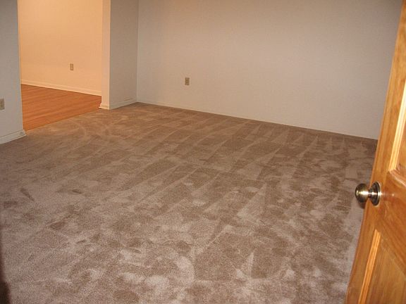 New Carpet in living room