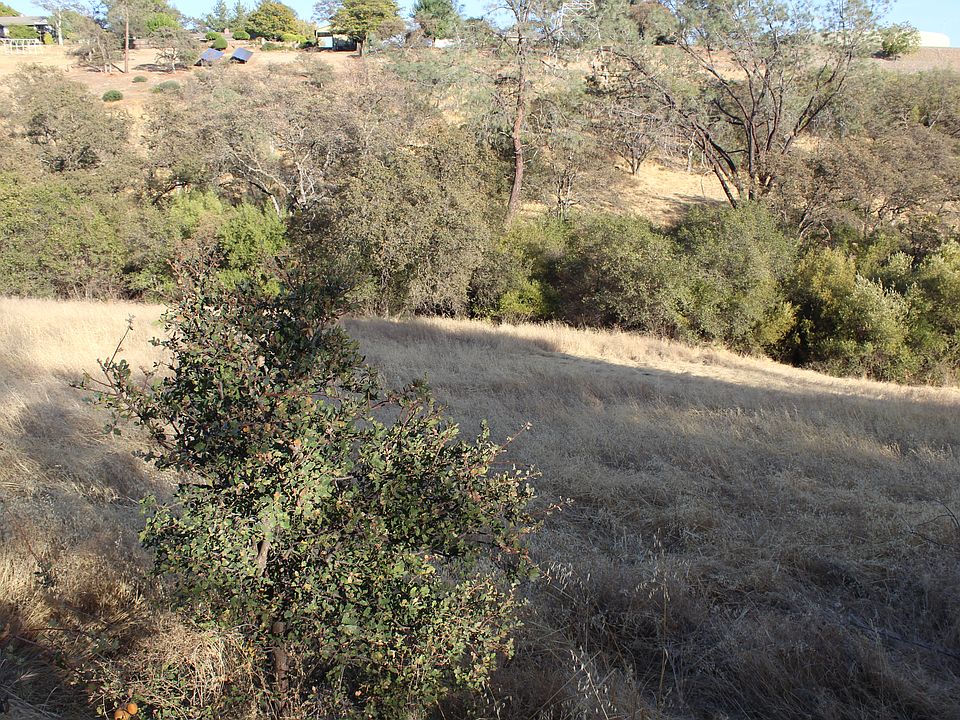 1st image of Long Bar