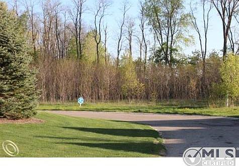 Kingston Pointe 006.JPG