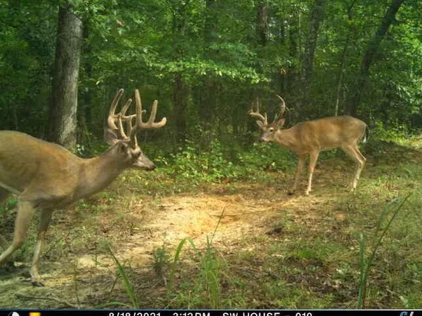 0 Sulphur Creek Rd, Big Sandy, TN 38221