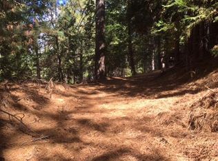 5352 Pine Ridge Dr, Grizzly Flats, CA 95636