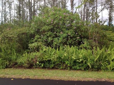 15-2805 S Manini St Lot 1185, Pahoa, HI, 96778