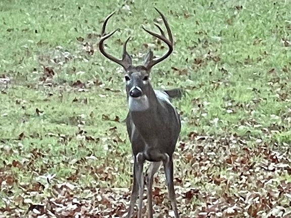 4th image of 0 Rector St #Hot