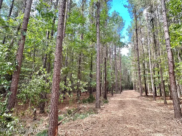 2 Clara Foote Rd, Braxton, MS 39044