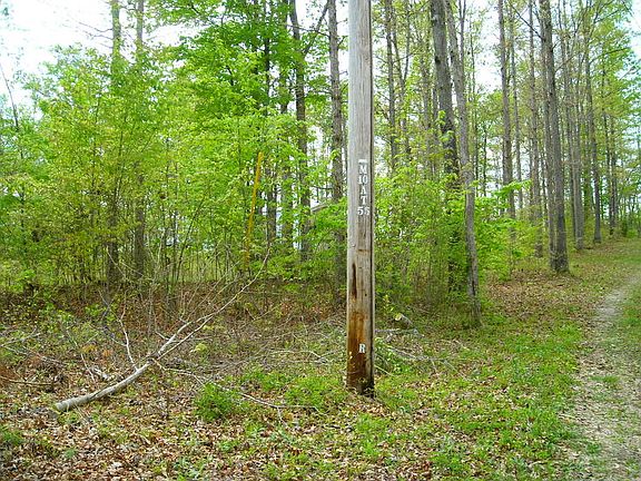 2nd image of Lot 8 Lucky Lane