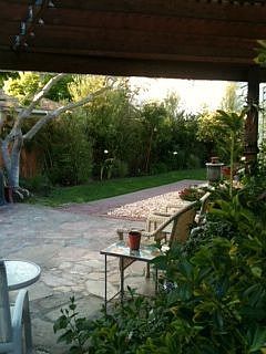Peaceful Patio