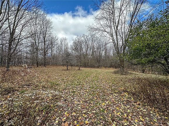 3rd image of Trapping Brook Rd