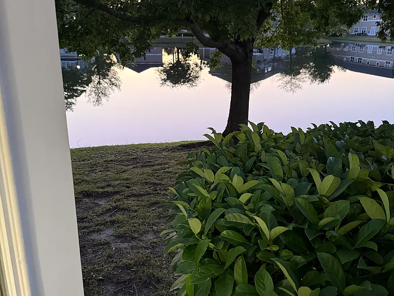 1741 Annabellas Dr — Photo 28
