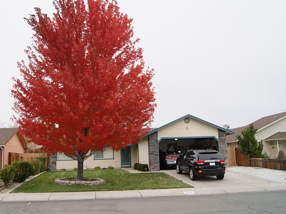 Front yard in fall