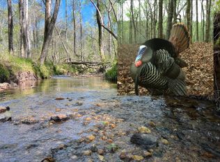 0 County Road 8, Rockford, AL 35136