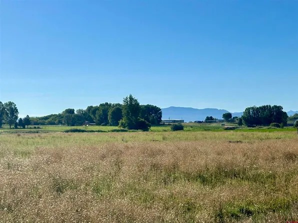 TBD Lot 2 5800 Road, Montrose, CO 81403