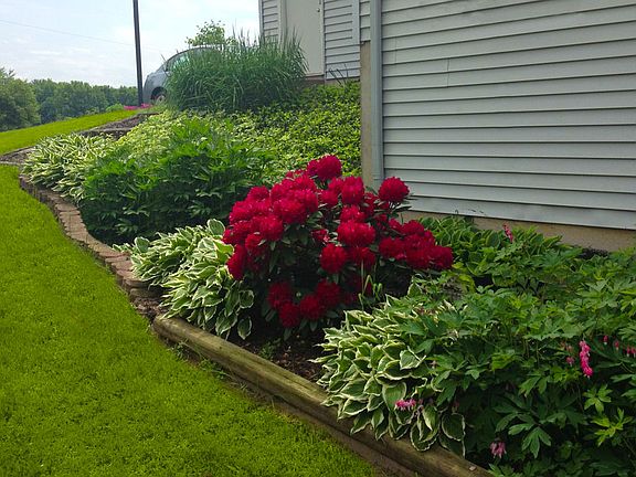 Back Corner Landscaping