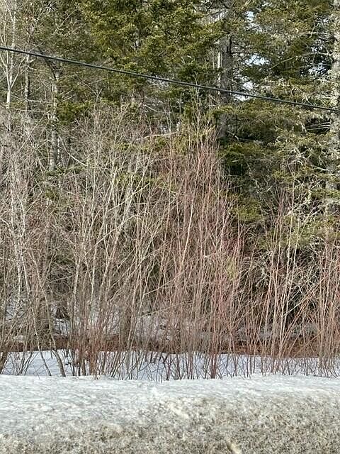 2nd image of Lot 8 Willey District Road